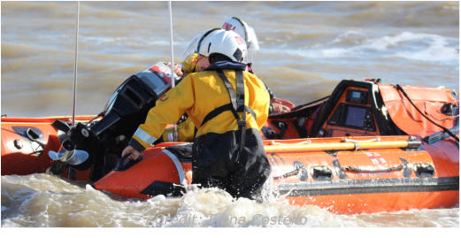 Credit: Fiona Costello