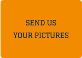 SEND US YOUR PICTURES